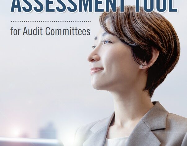 Internal Audit Assessment Tool